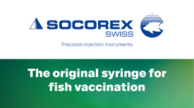 ultra 1810 - Automatic self-refilling light syringe