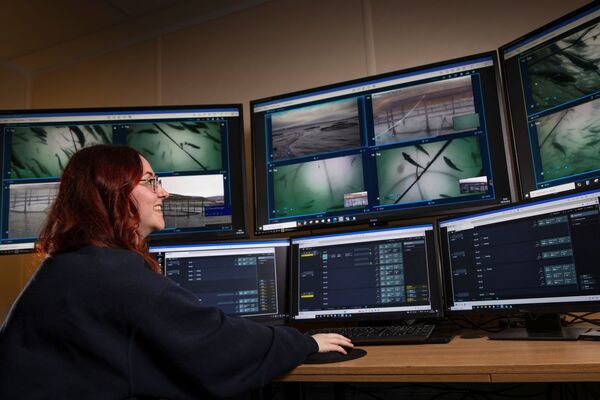 Bakkafrost: Driving forward sustainability