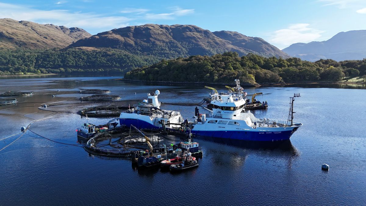 Mowi Loading post smolts at Loch Etive 5nov25