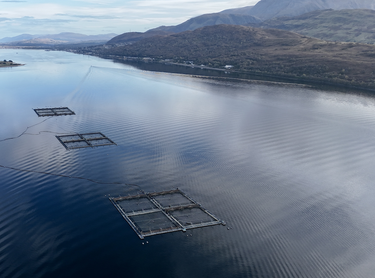 Mowi Gorsten drone image 20251208