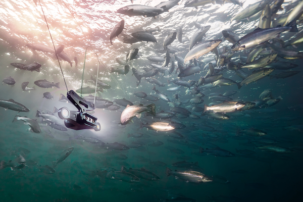 UK investor buys into Norwegian aquaculture technology business