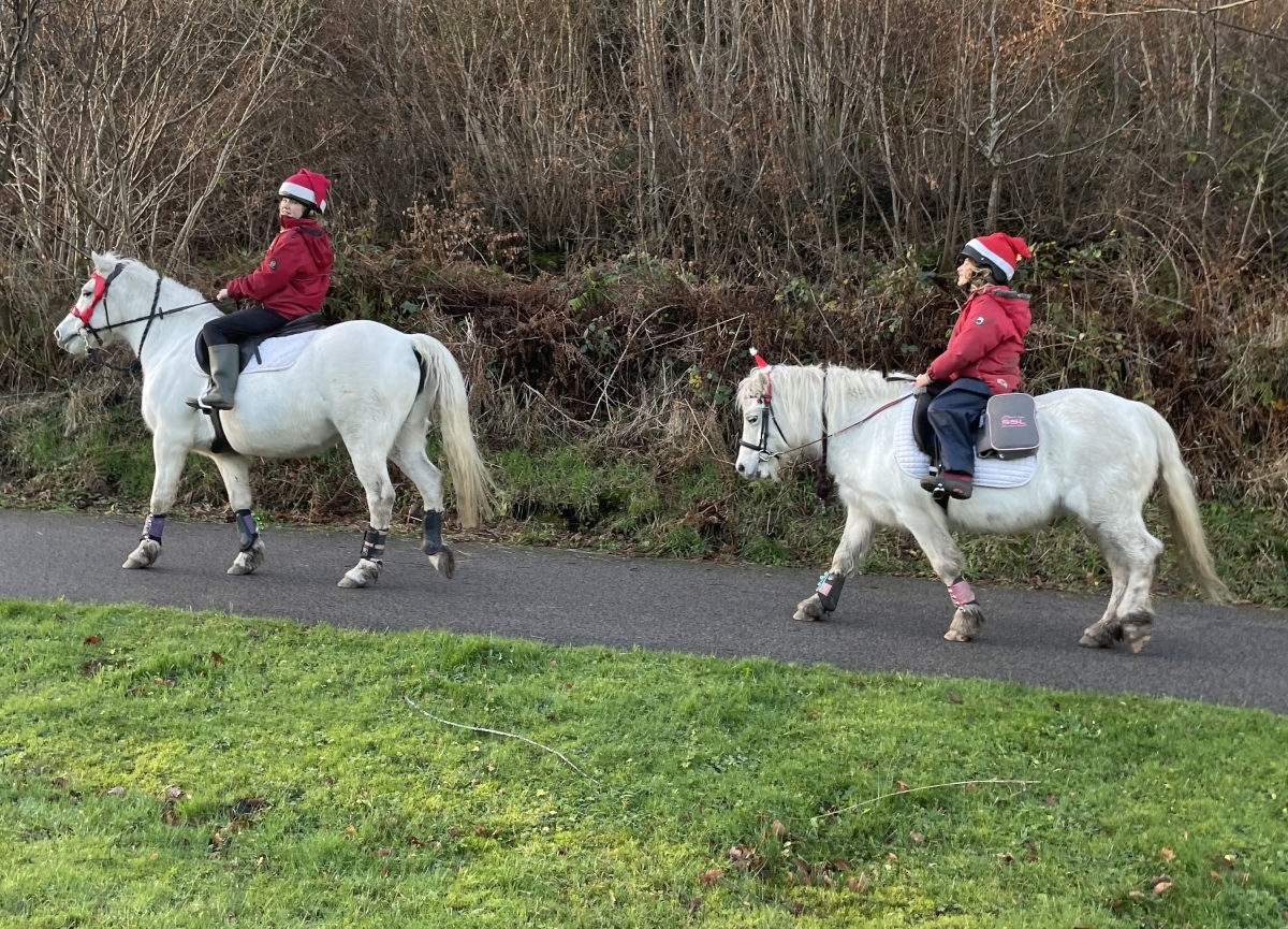 Pony post trots out Tayvallich Christmas cards