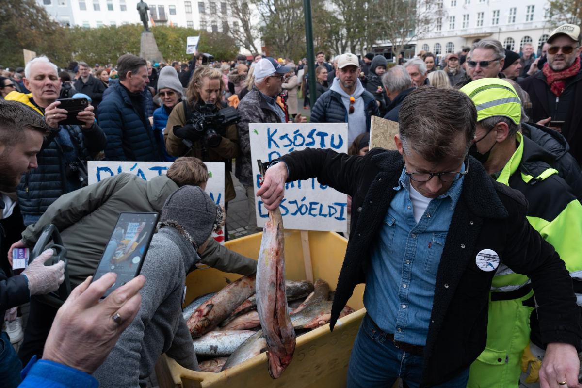Reykjavik salmon protest