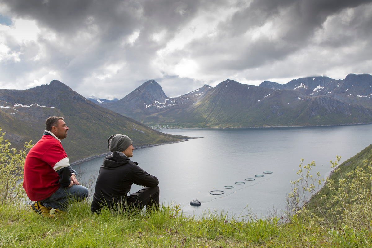 fish farm in Norway fjord AdobeStock 114233064 web