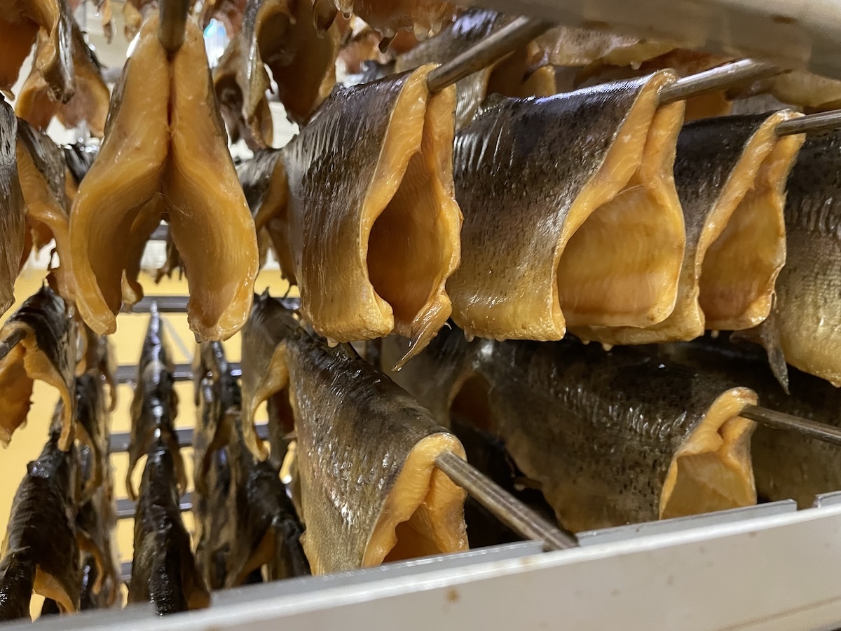 smoked trout IMG 3261 photo Danforel web
