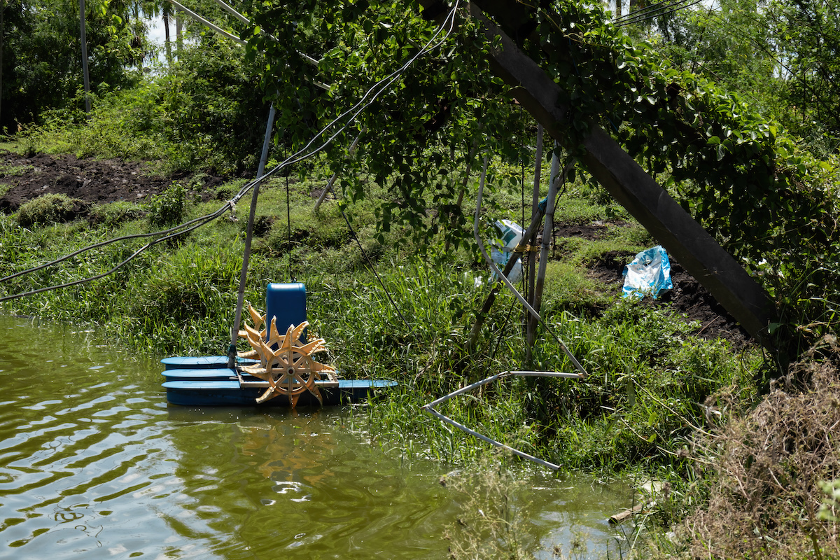 Aeration systems in an Aqua pond near Eluru (photo iMahesh) web Aeration systems in an Aqua pond near Eluru (photo iMahesh) web