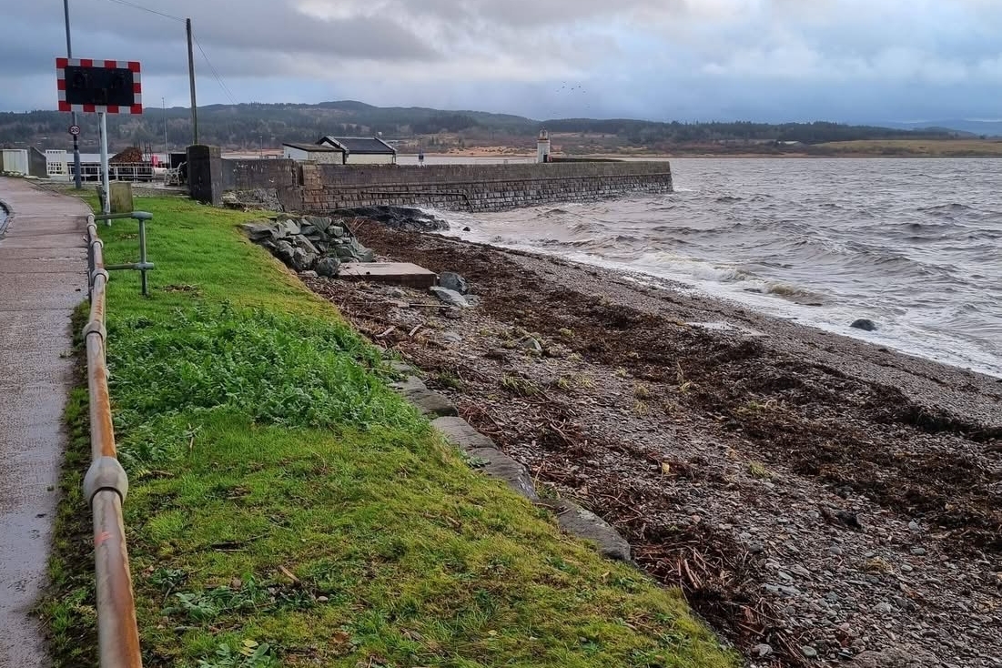 Poisonous water hemlock warning in Mid Argyll