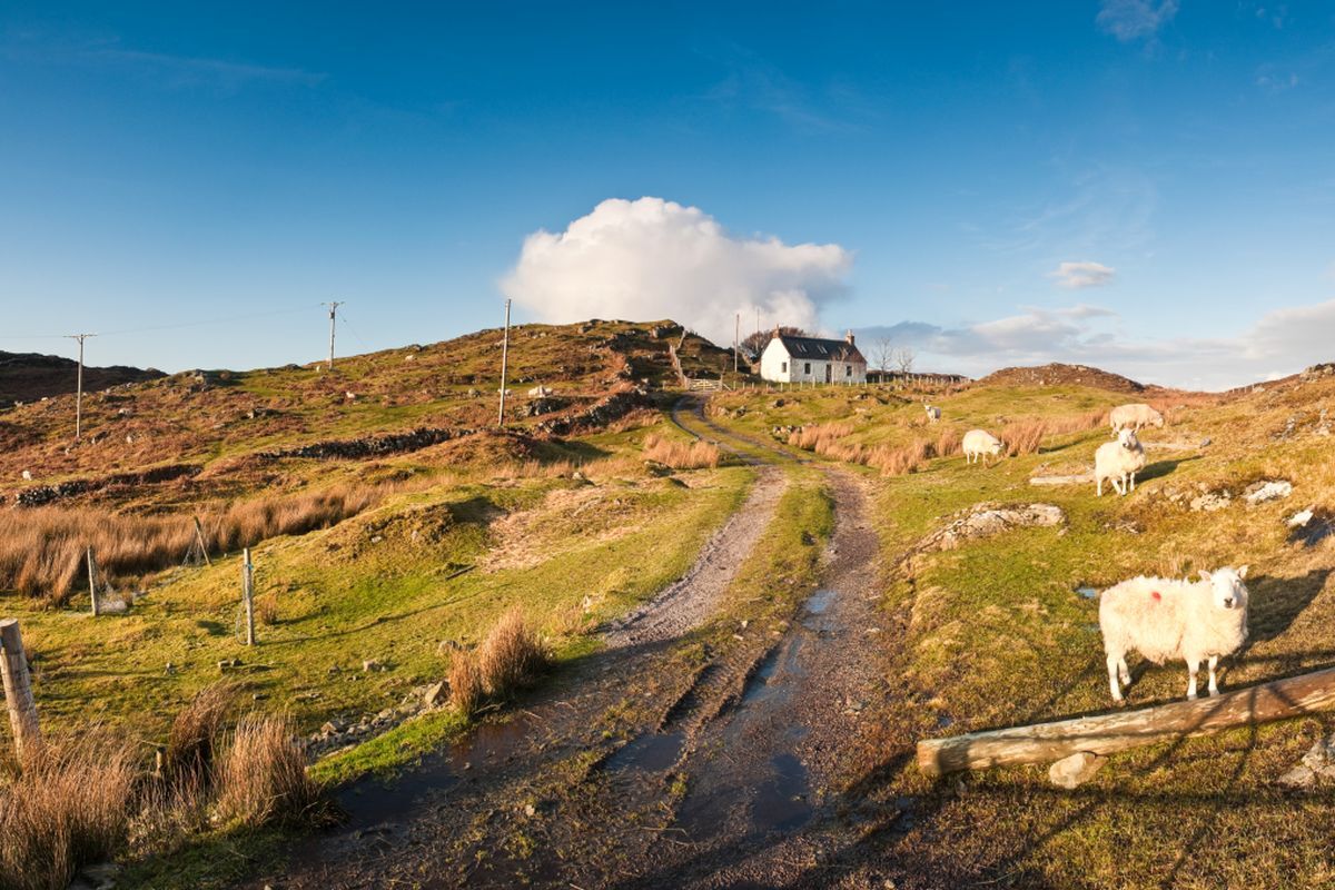 NO T2 Croft Scotland Stock 26 WEB NO T2 Croft Scotland Stock 26 WEB