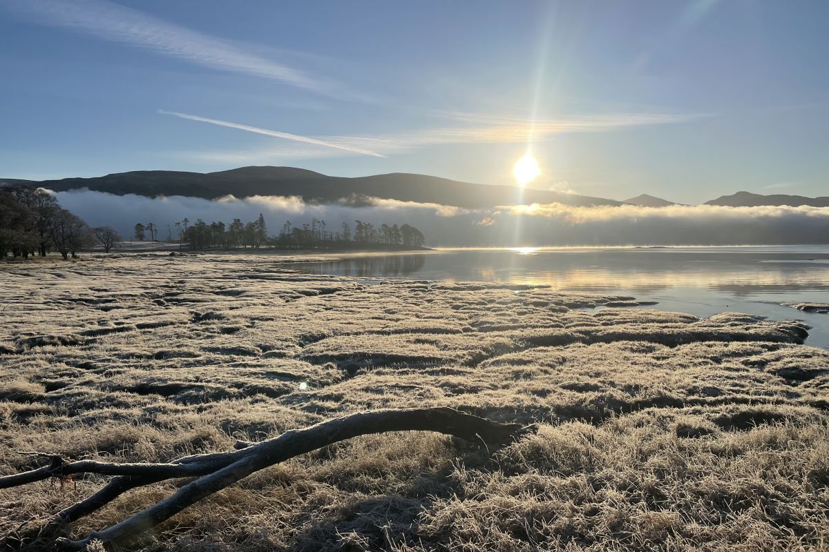 Wild Words by Kirsteen Bell: January blues!