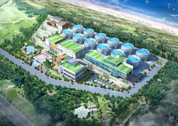 Salmon Evolution pulls out of Korea joint venture