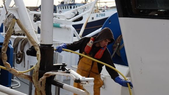 Fishing for sea skills? Funding is available.