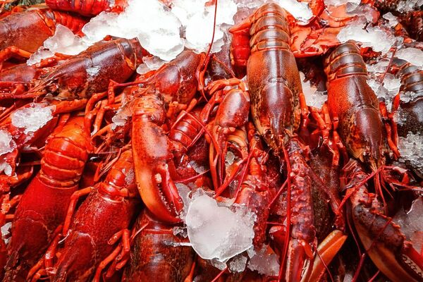 Freight fraud costing US "$100B a year", warns trade body after Christmas lobster heist