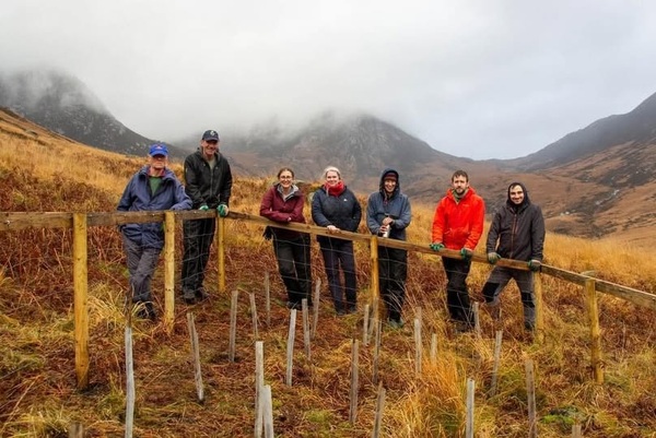 Habitat regeneration steps up in Glen Rosa