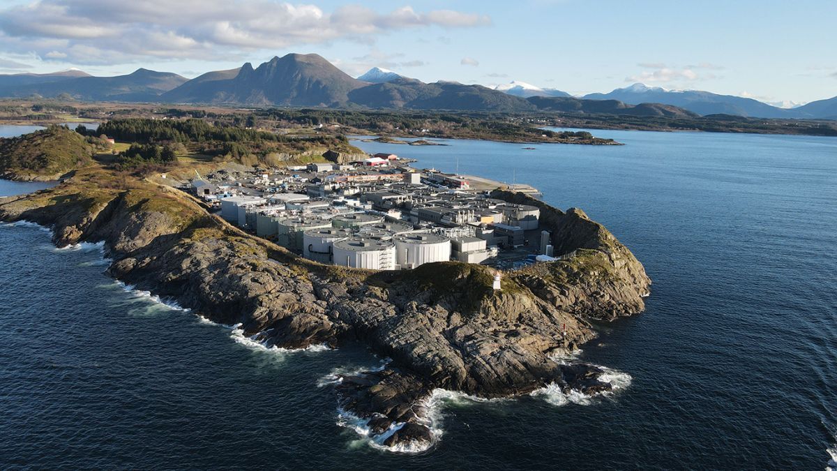 Salmon evolution Indre Haroy phase 2 vince Salmon evolution Indre Haroy phase 2 vince