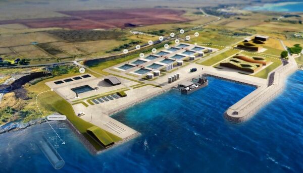 Andfjord Salmon announces continued strong momentum