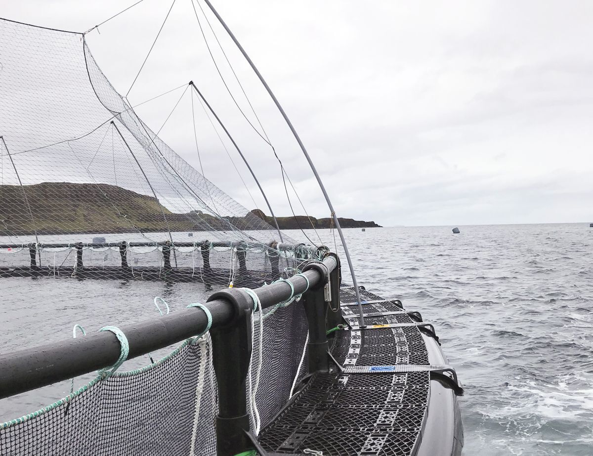 Gael Force 21 SeaQurePen500 web Gael Force 21 SeaQurePen500 web