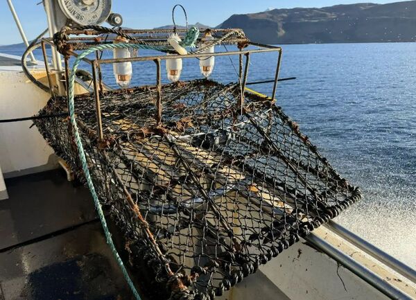 Creel fishers and scientists team up to listen beneath the waves