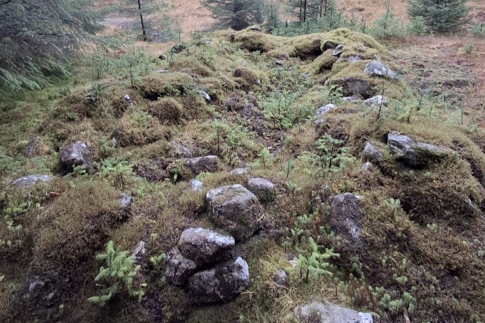 A collection of shielings nestled amidst a mature Forestry and Land Scotland timber block on the eastern bank of AlltnamMuc, Brenchoillie, near Inveraray have been added to historical records. Photograph: FLS A collection of shielings nestled amidst a mature Forestry and Land Scotland timber block on the eastern bank of AlltnamMuc, Brenchoillie, near Inveraray have been added to historical records. Photograph: FLS