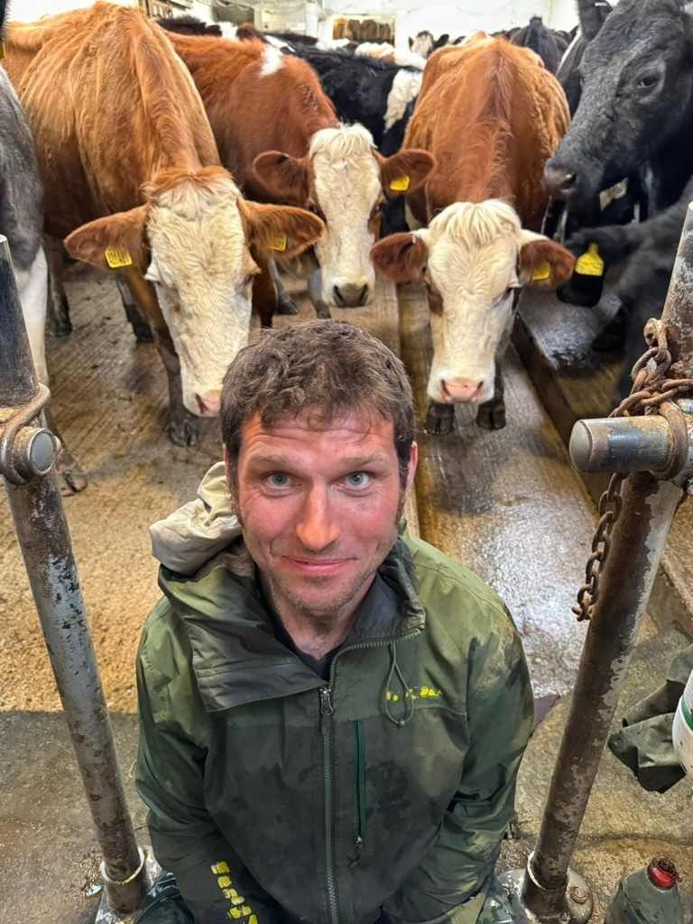 Guy admitted he was initially nervous of the cows, but soon got stuck in. Photograph: UKTV/North One. Guy admitted he was initially nervous of the cows, but soon got stuck in. Photograph: UKTV/North One.