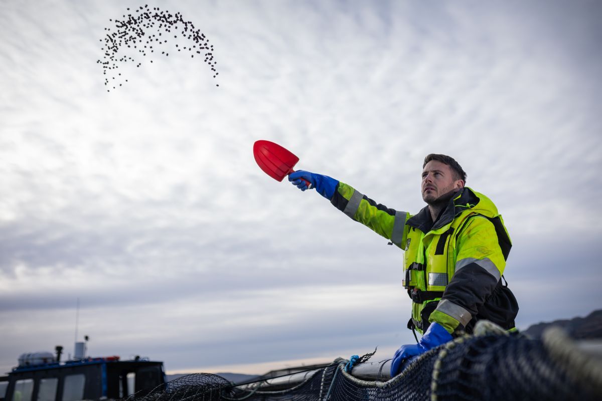 farm worker feeding resize