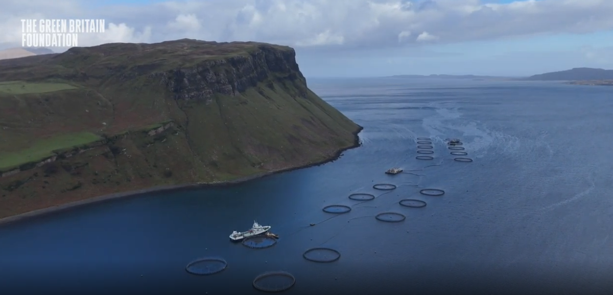 Bakkafrost Portree site from Green Britain Foundation footage