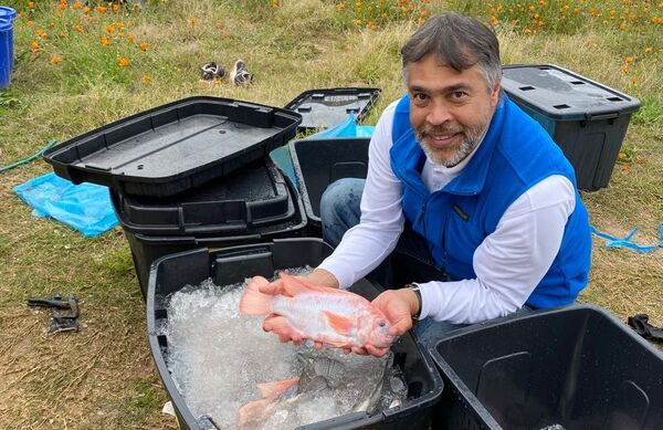 World Aquaculture Society appoints new Africa president