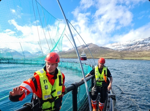 Iceland port may launch ferry service to Scotland