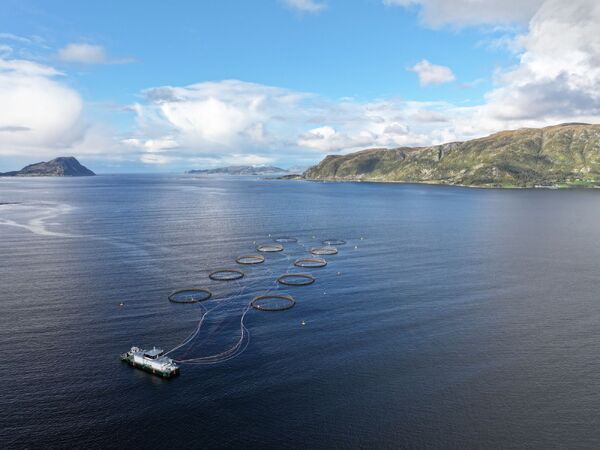 Cod farmer Ode expands in western Norway