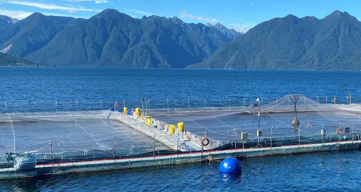 Salmones Austral Chile salmon farm view