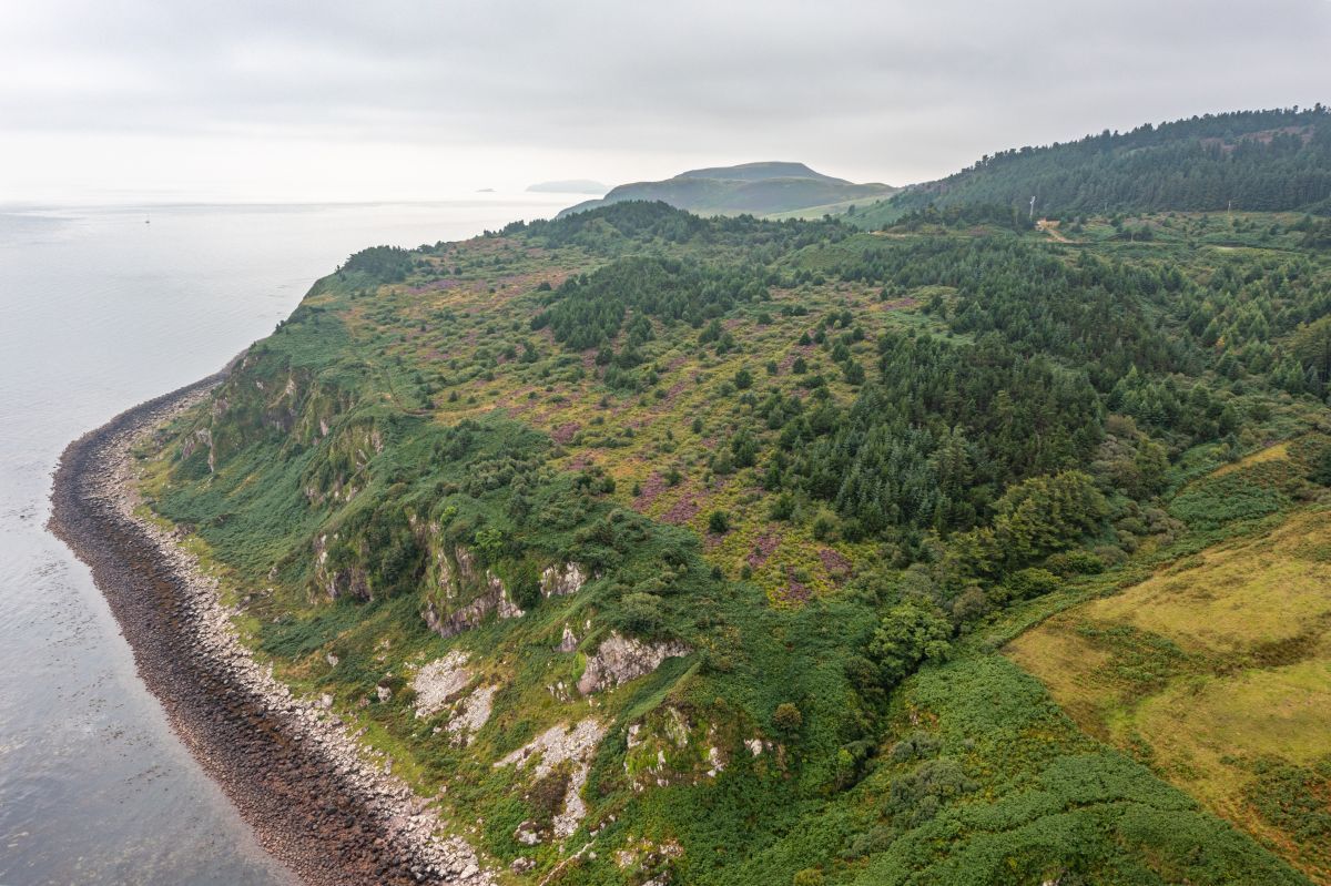 Kintyre woodland part of Scotland-wide rewilding milestone