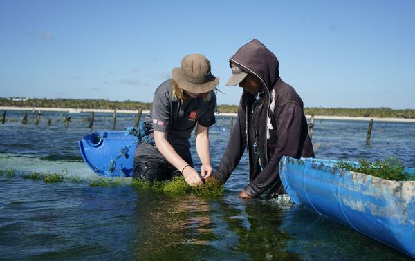 Builders Vision invests in Hatch Blue, signalling global confidence in aquaculture growth