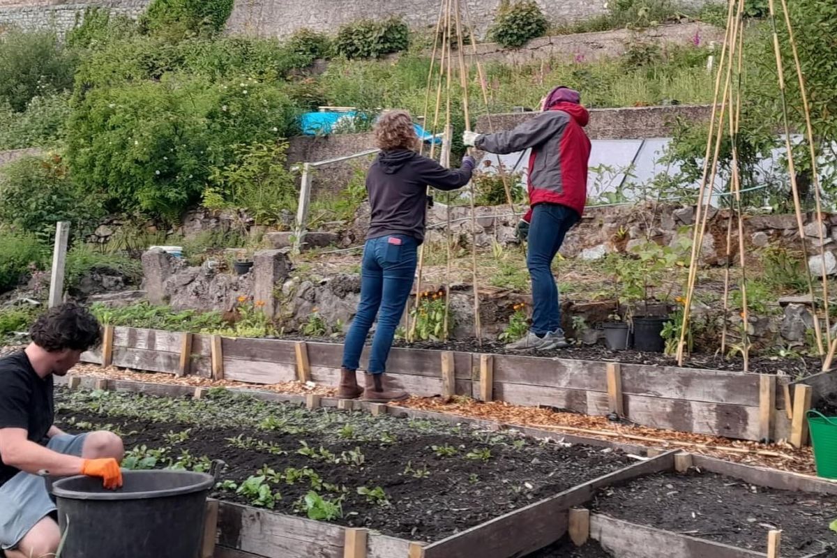 Oban Communities Trust garden volunteers at work. Photograph: Link