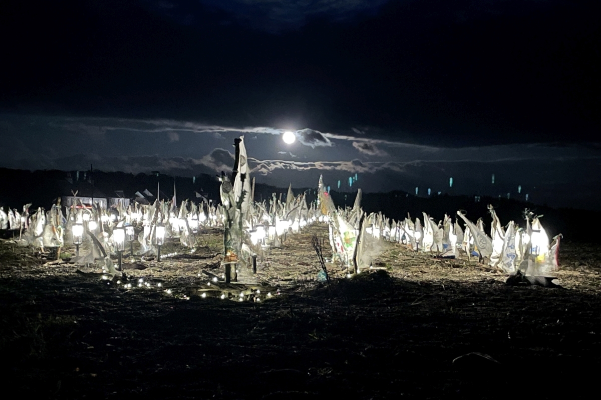 Beach festival brings back the light to Skipness