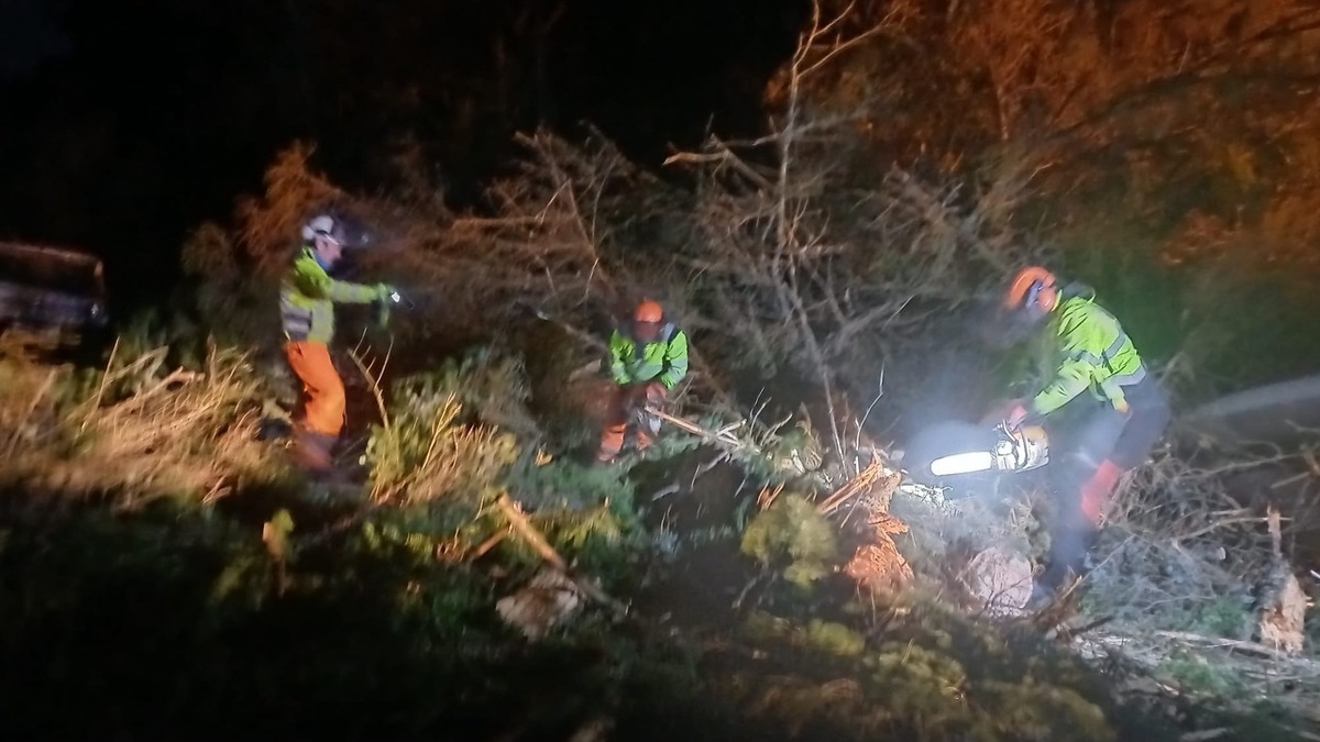 BEAR Scotland workers cut up the fallen trees while Jack helped clear them from the road.