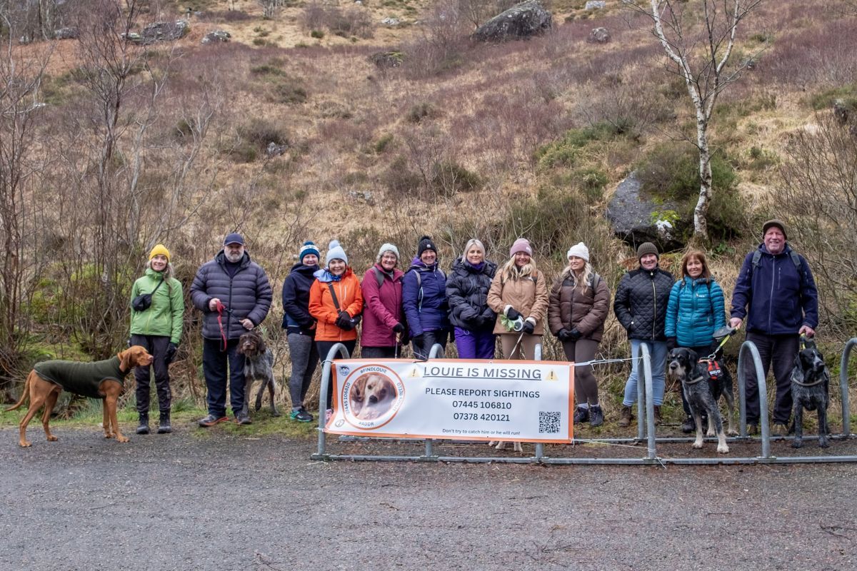 Louie lovers step forward to repay dedicated search teams