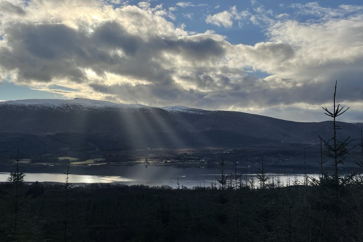 Wild Words by Kirsteen Bell: Goodbye and thank you