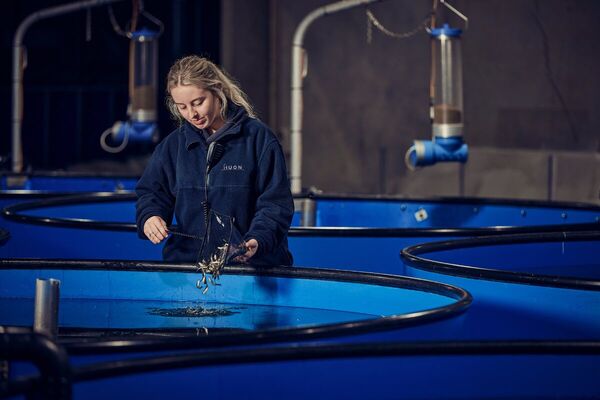 Aquaculture nets steady gains for Australian economy