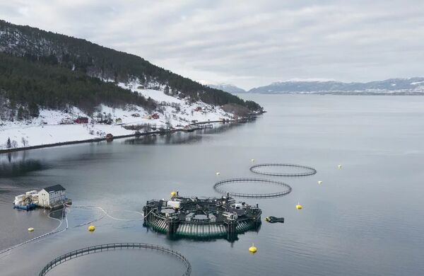 Marine Donut set for commercial production