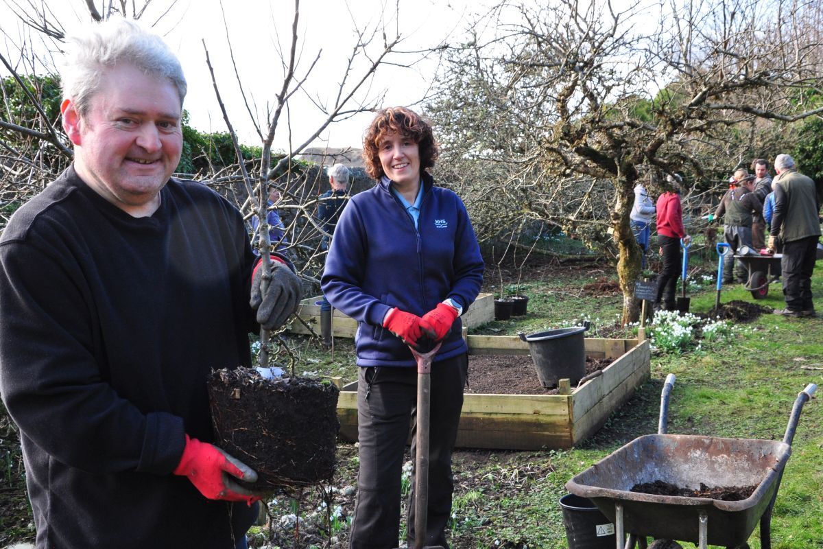 Community orchard grows together