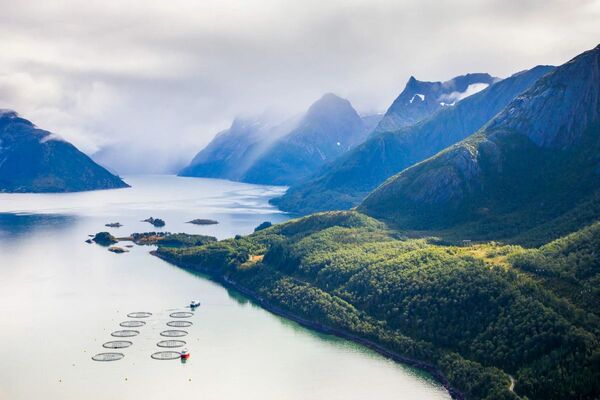 Bumper pay-out for Mowi shareholders