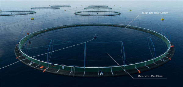 Scottish Sea Farms welcomes go ahead for Fish Holm farm expansion