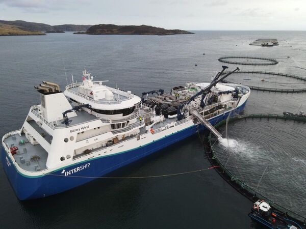 Trident Inter Alba 2