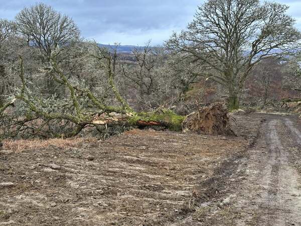 Investigations launched into Ardteatle Old Military Road damage