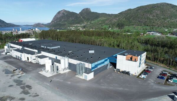 Slimmed-down Grieg unveils strong final quarter