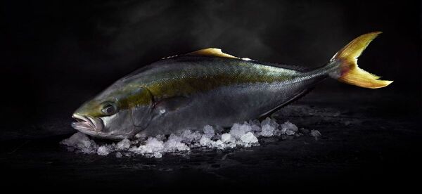 Nordic Aquafarms reported to have dropped California project