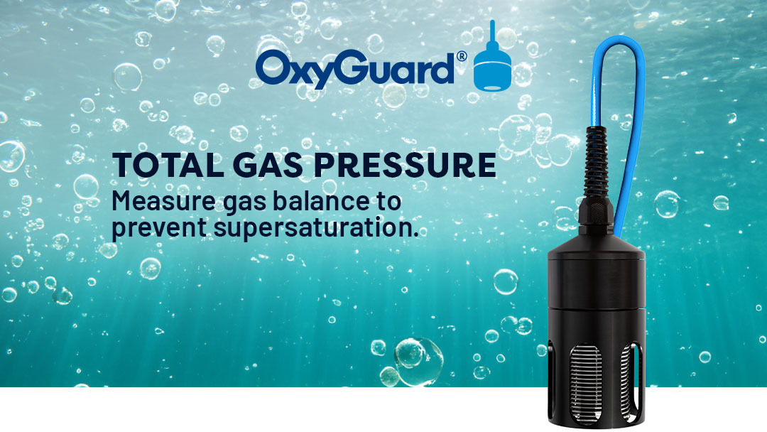 Oxyguard mar26 26.03 Article TGP probe essential tool for efficient water quality management