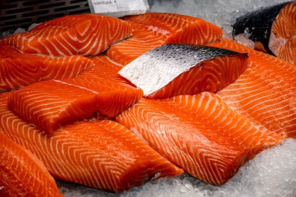 Salmon prices take another tumble