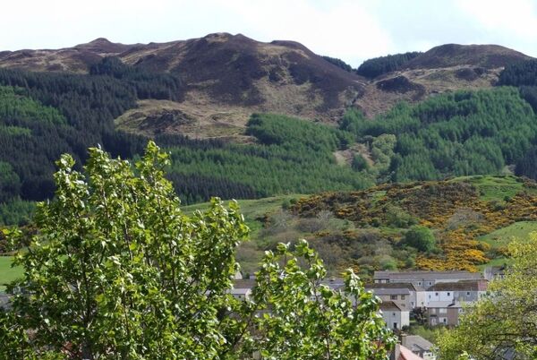 Deliberate forest fire sparks police appeal