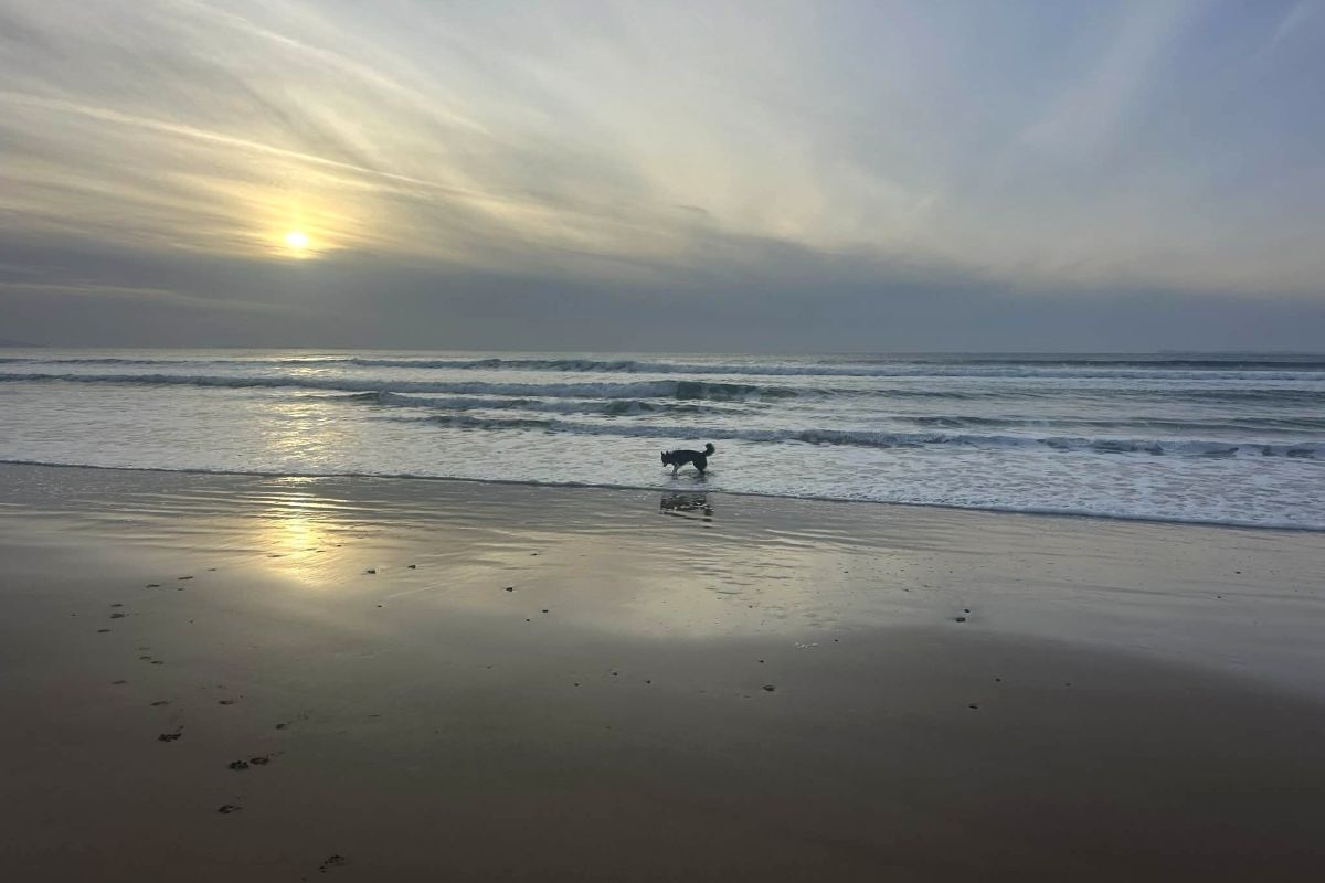 Campbeltown Courier - Letters to the Editor 6.3.26