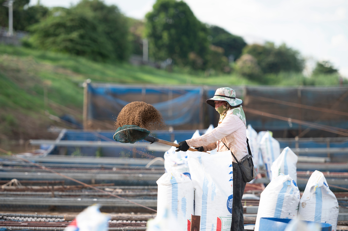 fish farm worker Thailand AdobeStock 521412603 20260303